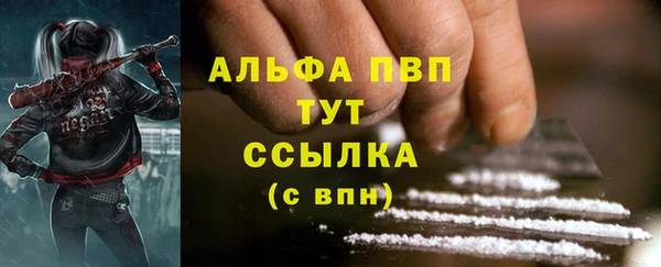 стаф Корсаков