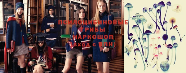 твердый Армянск
