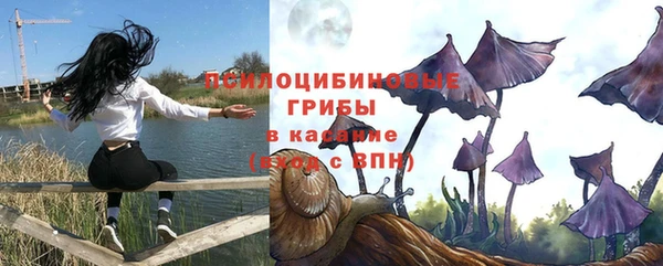 твердый Армянск