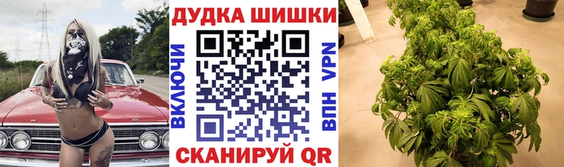 хочу наркоту  mega зеркало  МАРИХУАНА VHQ  Белинский 